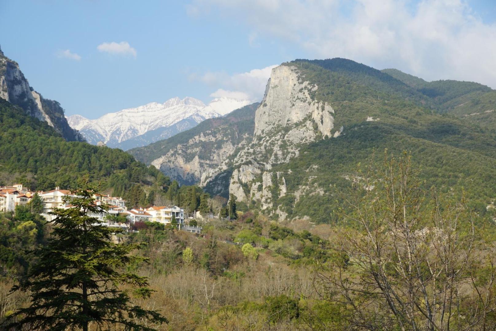 Ενοικιαζόμενα Δωμάτια Ενιπεύς- Rooms Enipeas Litóchoron Esterno foto